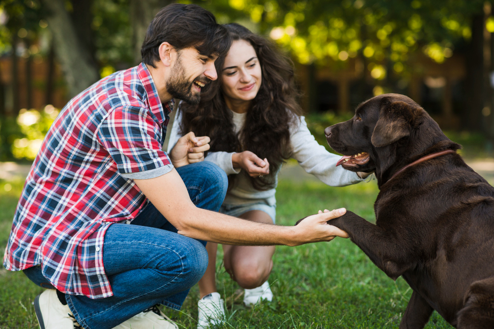 Dog-Friendly Communities: How Dog Poo Bags Contribute to Cleanliness