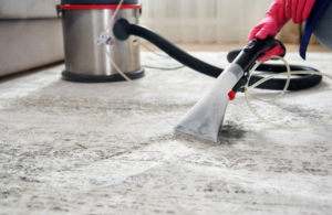 Engaging a reputable commercial carpet cleaning company in Perth
