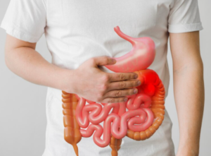 Best Supplements For Digestive Health