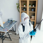 Eco-Friendly Pest Control in Tacoma: Safe Options for Your Home and Family