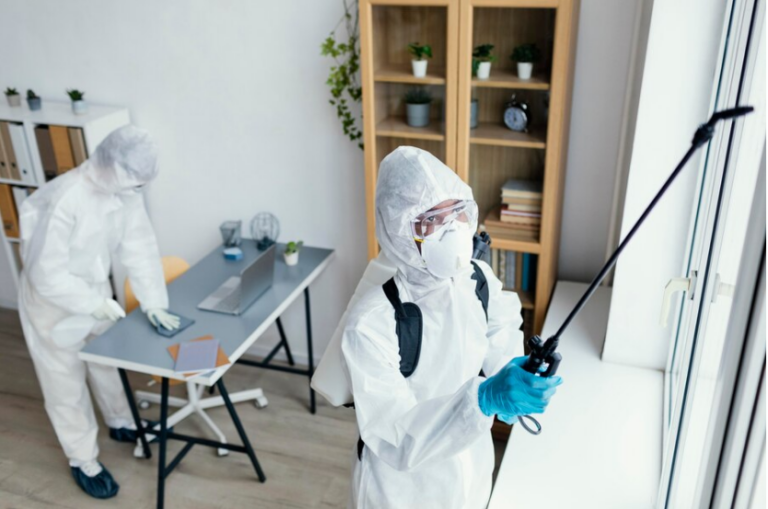 Eco-Friendly Pest Control in Tacoma: Safe Options for Your Home and Family